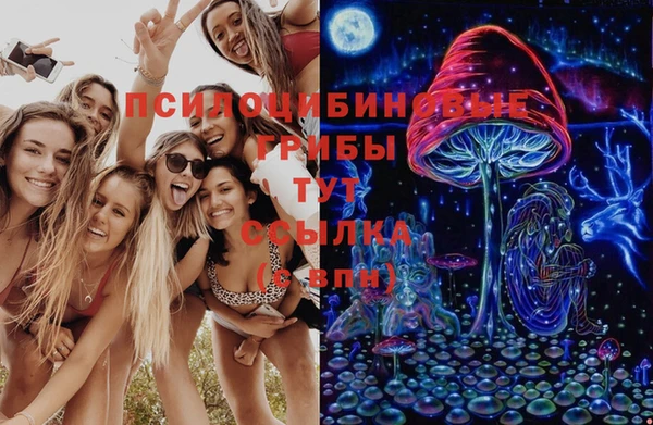 mdpv Горняк