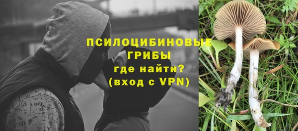 mdpv Горняк