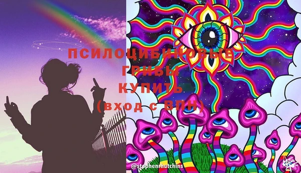 mdpv Горняк
