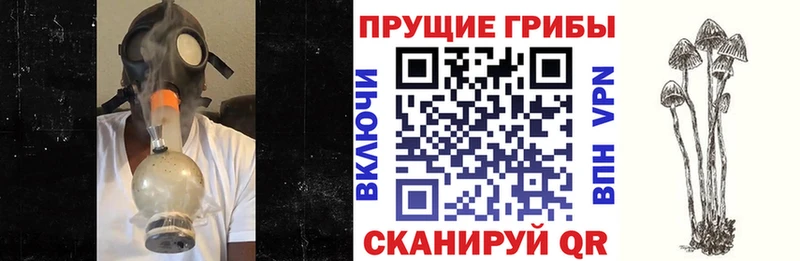 Галлюциногенные грибы GOLDEN TEACHER  Кострома 