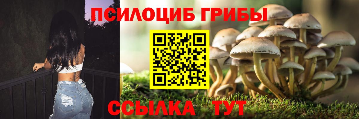 Галлюциногенные грибы мицелий Кострома