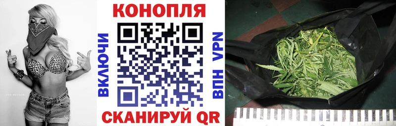 Конопля индика  Кострома 
